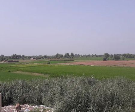 Govt Model Primary School (Boys), Goraiy