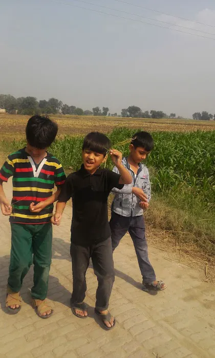 Shokat Islam College Picture 1