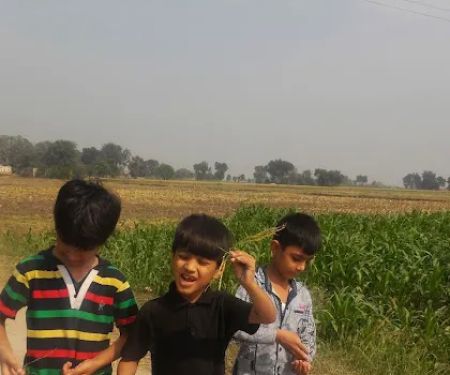 Shokat Islam College