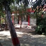 Govt Girls Primary School Mumtaz Abad Bahiwal