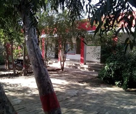 Govt Girls Primary School Mumtaz Abad Bahiwal