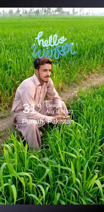 GOVT.ASSOCIATE COLLEGE BHAGTANWALA SARGODHA Picture 5