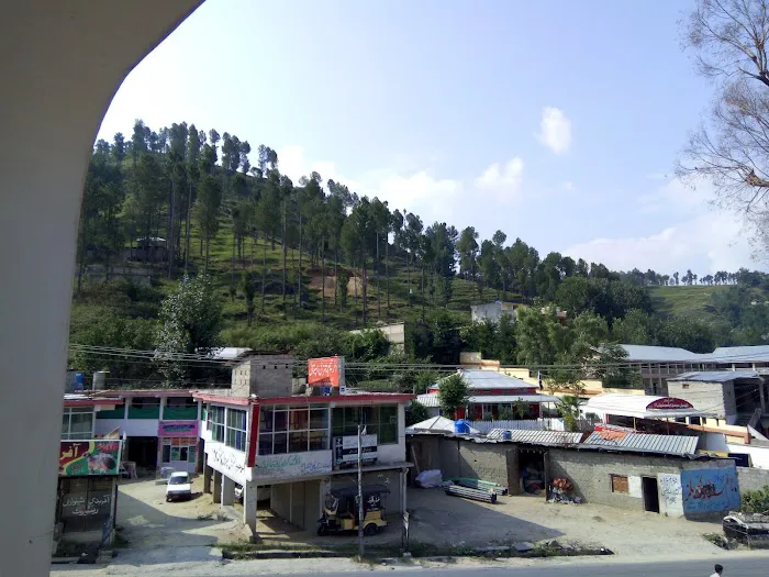 Al Bukhari Institute Of Technology, Battagram Picture 1