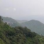 GPS Charoona Amazai