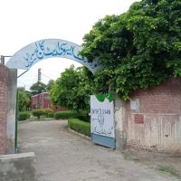 Government Associate College for Boys, Isa khel ico