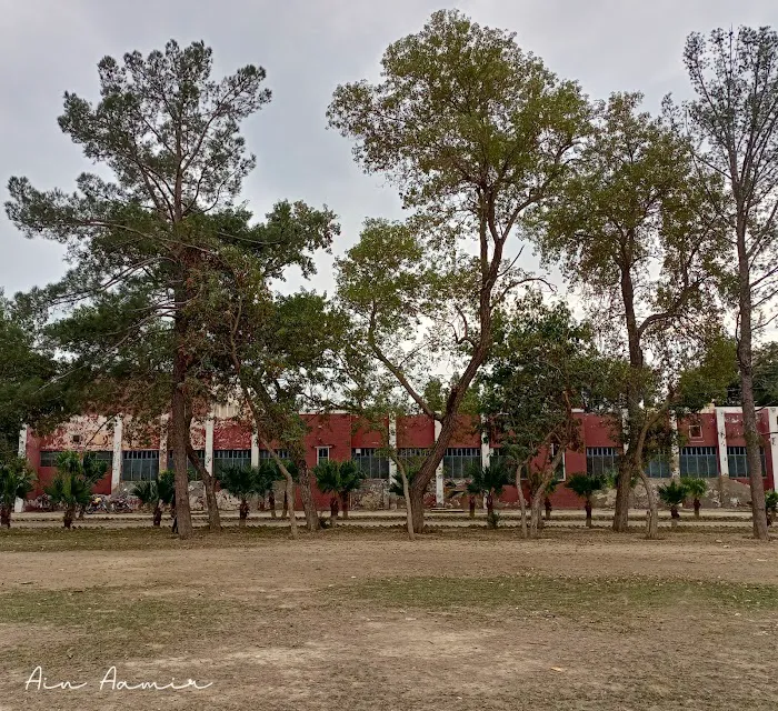 Government Associate College for Boys, Isa khel Picture 9