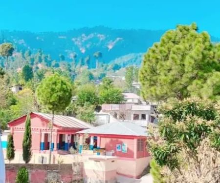 Goverment Primary School Mohri, Shohal