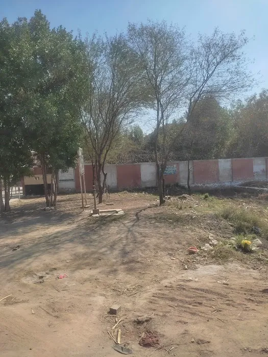 Govt. Institute of Commerce, Sahiwal (Sargodha) Picture 2