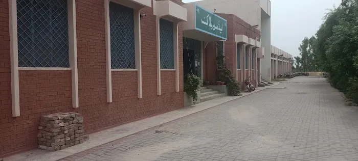 Govt. Associate College, Sahiwal, Sargodha Picture 8