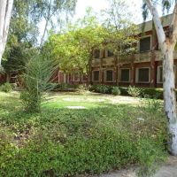 Govt. Associate College for Women Sahiwal, Sargodha ico
