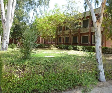 Govt. Associate College for Women Sahiwal, Sargodha