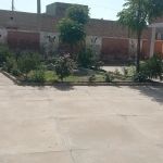 GGPS DIRKHANA WALA MRKAZ URBAN JANDANWALA