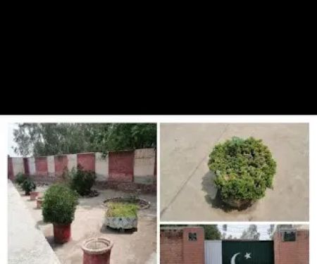 GGPS SOTAY WALA JANDANWALA