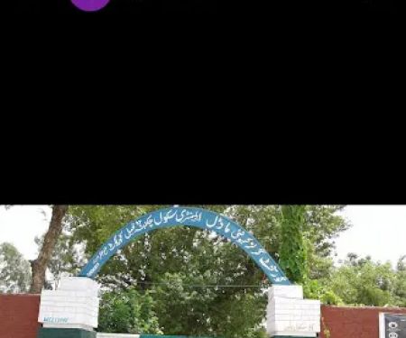 Govt-Girls-Cumunity-Model Elementary School Chak 47DB