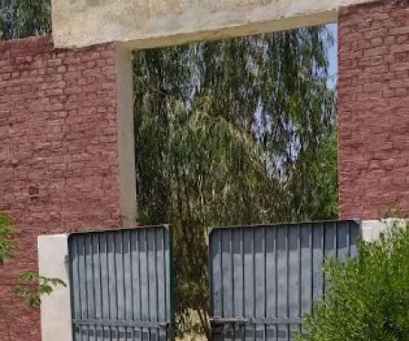 Government Girls Primary School Dadwala