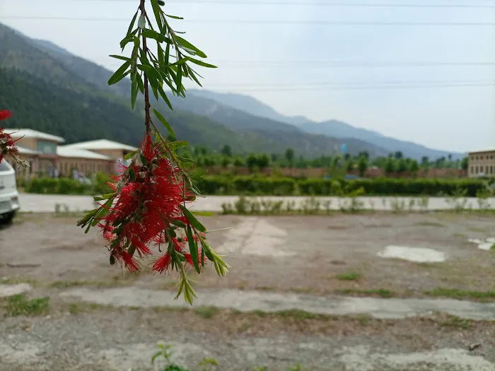 Hasa Government College Picture 5