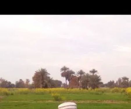Sermi Khel