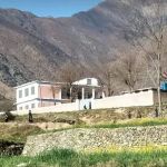 Government primary school kitkot 2