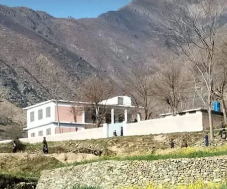 Government primary school kitkot 2