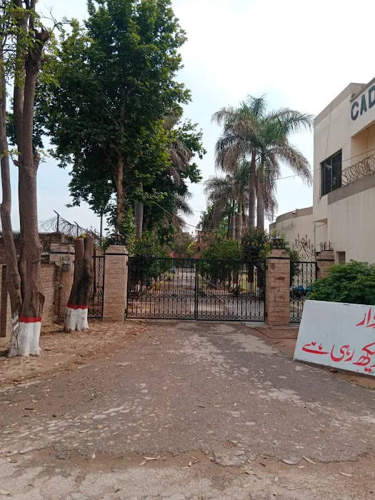 Cadet College Sialkot Picture 4
