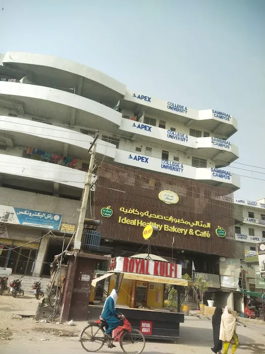 Apex college Picture 1