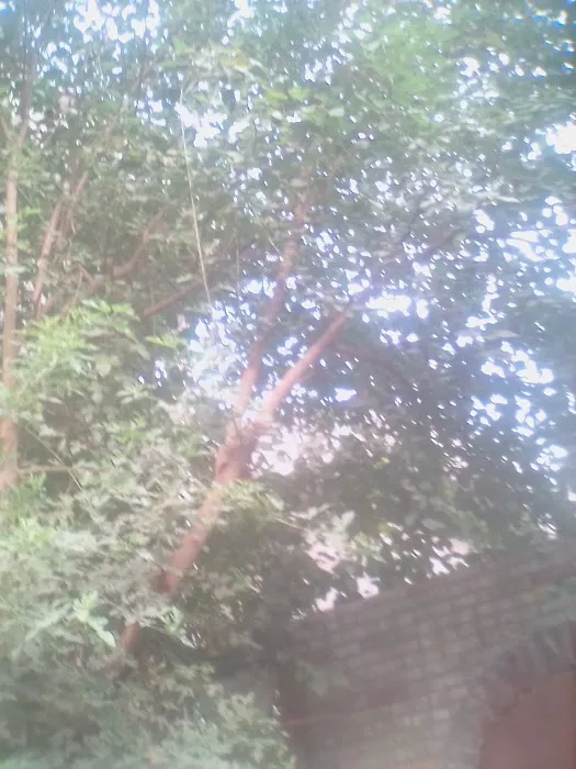 Punjab College Sambrial Picture 5
