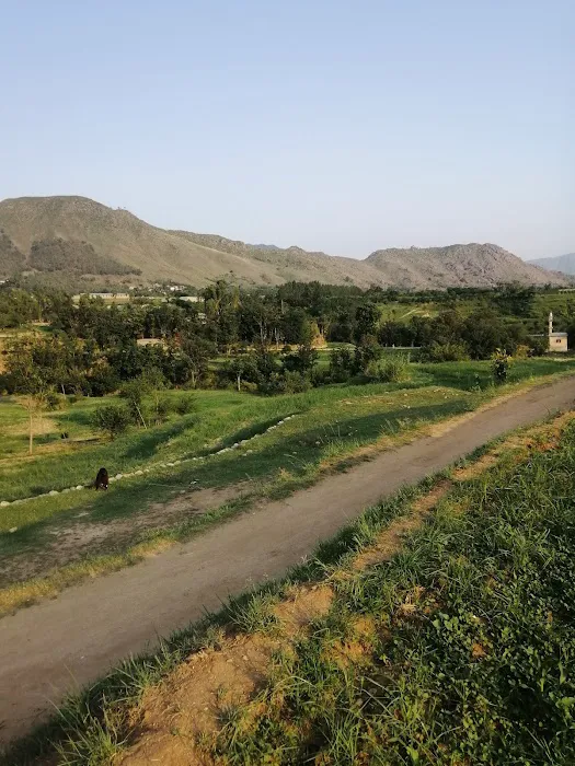Government Girls Degree College Jandool Picture 1