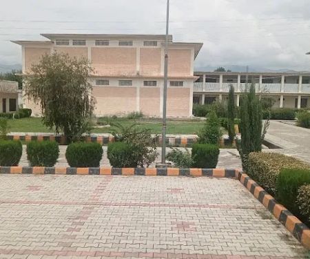 Govt.Girls Degree College Samarbagh Dir lower