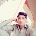 Zulqarnain towery