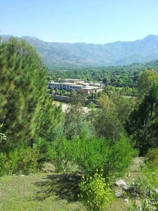 Government Ghazi Umara Khan Degree College, Samarbagh Picture 4