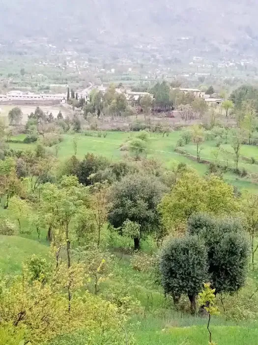 Government Ghazi Umara Khan Degree College, Samarbagh Picture 6