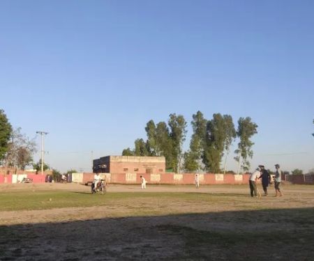 Government High School