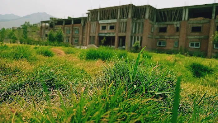 Zeb Medical Dental And Nursing College Timargara Picture 3