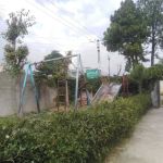 Govt.Boys Primary School