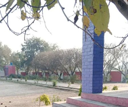 Govt .Primary School Channi Thathlan