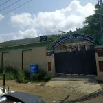 Govt Primary School