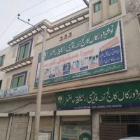 Nowshera Virkan Colleg of Pharmacy & Health Sciences ico