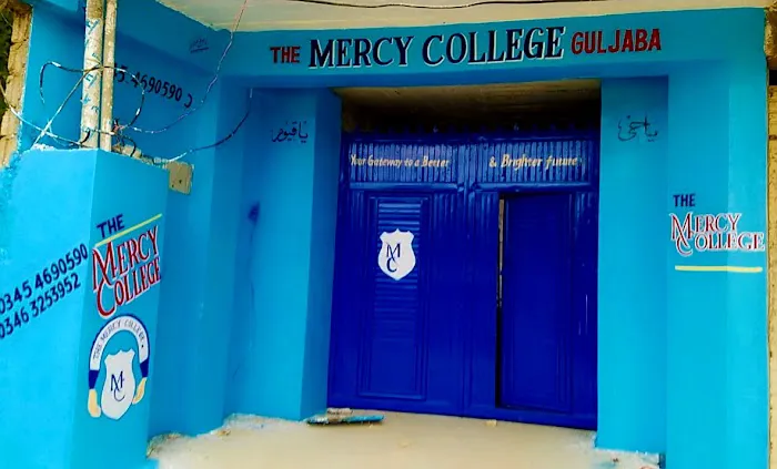 Mercy College Picture 1