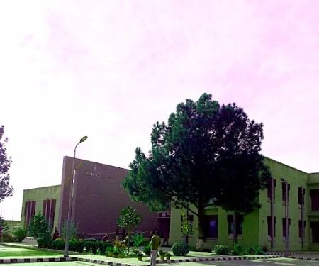 Department of Physics