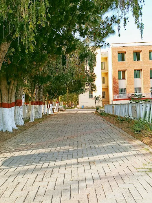 University of Malakand Picture 3