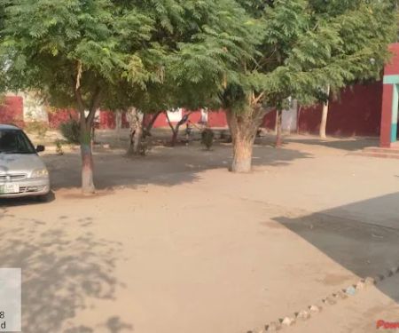 Government Model Primary School Chah Haji Wala