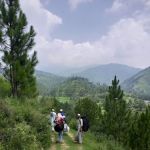 GPS NOGRAM (BATTAL)