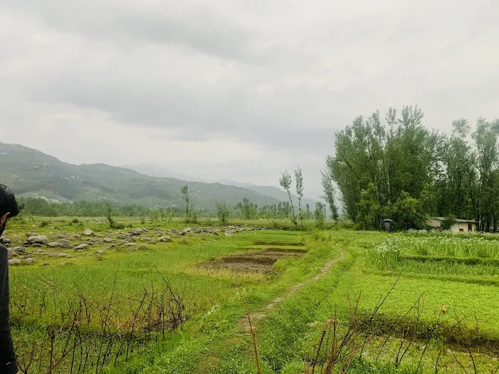 shukhdara matta swat Picture 1