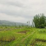 shukhdara matta swat