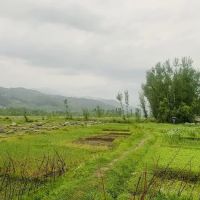 shukhdara matta swat ico