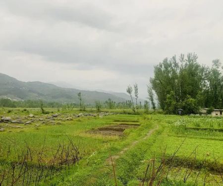 shukhdara matta swat