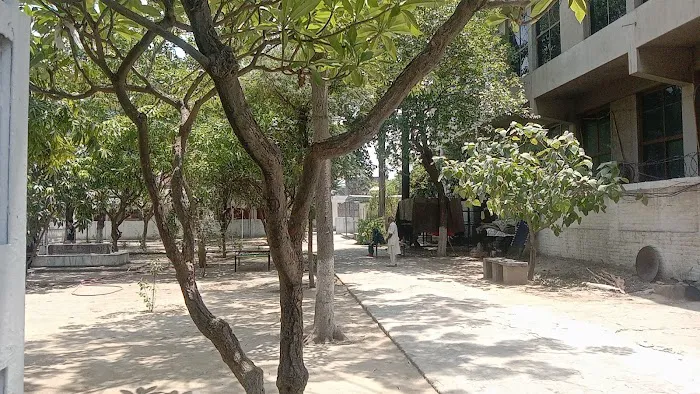 KIPS KANGNIWALA CAMPUS Picture 4