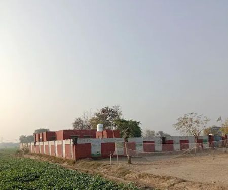 Govt Boys Primary School