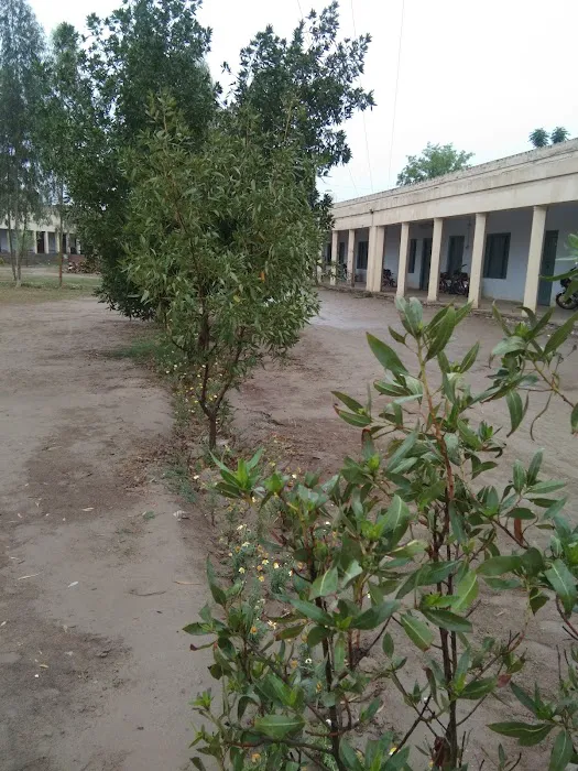 Darul Uloom Boys Campus Picture 8