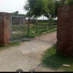 Govt Primary School Chohaywala